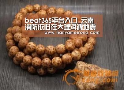 beat365平台入口_云南消防依旧在大理洱源地震灾区连夜搜救(图2) beat365平台入口_云南消防依旧在大理洱源地震灾区连夜搜救(图2)